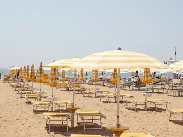 Galleria MARCONI BEACH JESOLO - Foto 2